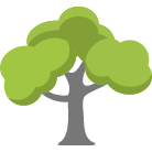 Marietta Tree Removal Service