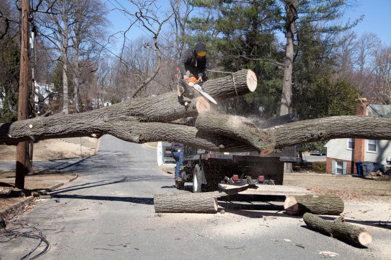 Tree Care Consultants