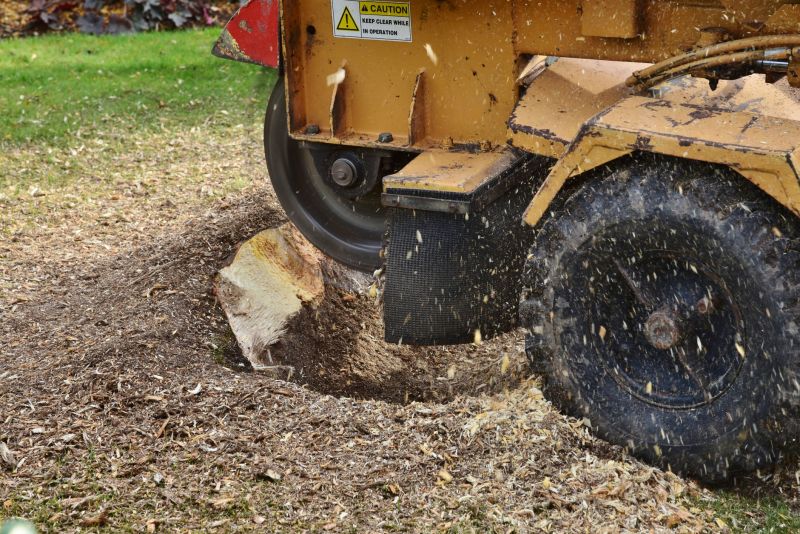 Stump Grinding Services